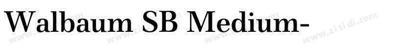 Walbaum SB Medium字体转换